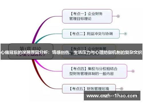 心痛背后的深层原因分析：情感创伤、生活压力与心理防御机制的复杂交织