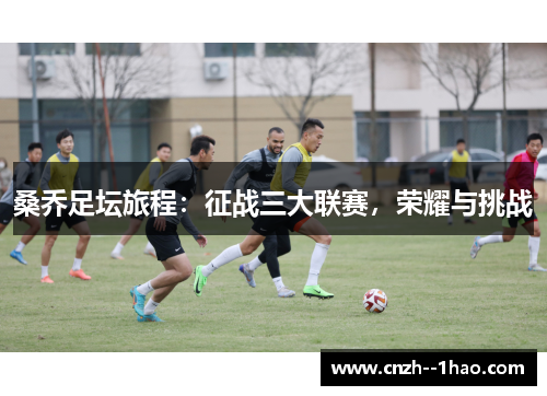 桑乔足坛旅程：征战三大联赛，荣耀与挑战