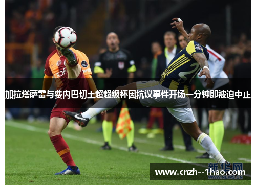 加拉塔萨雷与费内巴切土超超级杯因抗议事件开场一分钟即被迫中止 加拉塔萨雷与费内巴切土超超级杯因抗议事件开场一分钟即被迫中止
