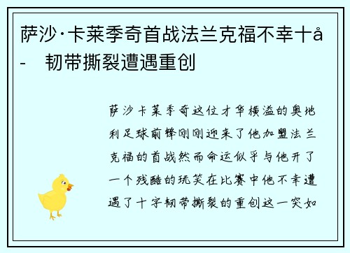 萨沙·卡莱季奇首战法兰克福不幸十字韧带撕裂遭遇重创 萨沙·卡莱季奇首战法兰克福不幸十字韧带撕裂遭遇重创